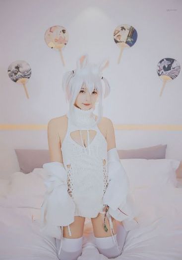 免费看日韩A片无码视频软件_HD免费观看超清