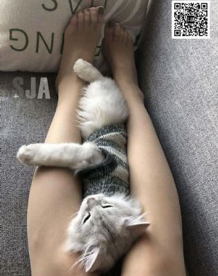 国产自av_4K免费观看超清