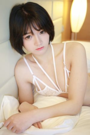 精品不卡一区二区_DVD免费高清观看
